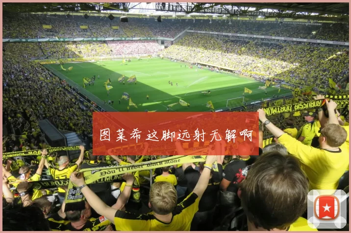 图莱希这脚远射无解啊